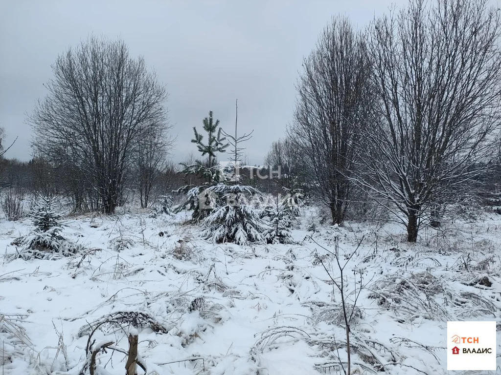 городской округ Щёлково, деревня Новопареево, 1-я Амеревская улица,  ... - Фото 8