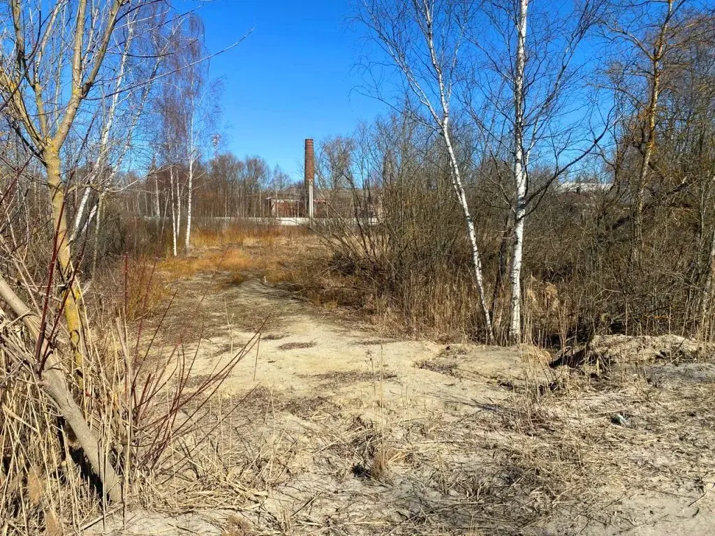 Участок в деревне Клеменово - Фото 1