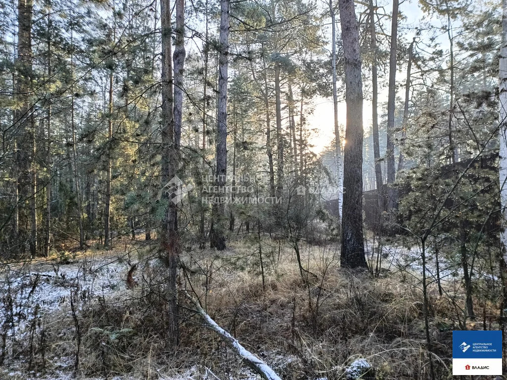 Продажа участка, Алеканово, Рязанский район - Фото 4