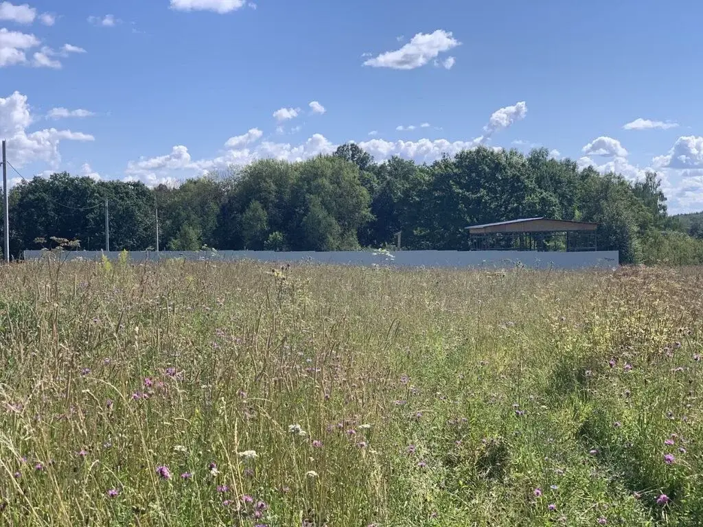 Продажа участка 12.0 сот. Тульская область, Алексин городской округ, ... - Фото 3