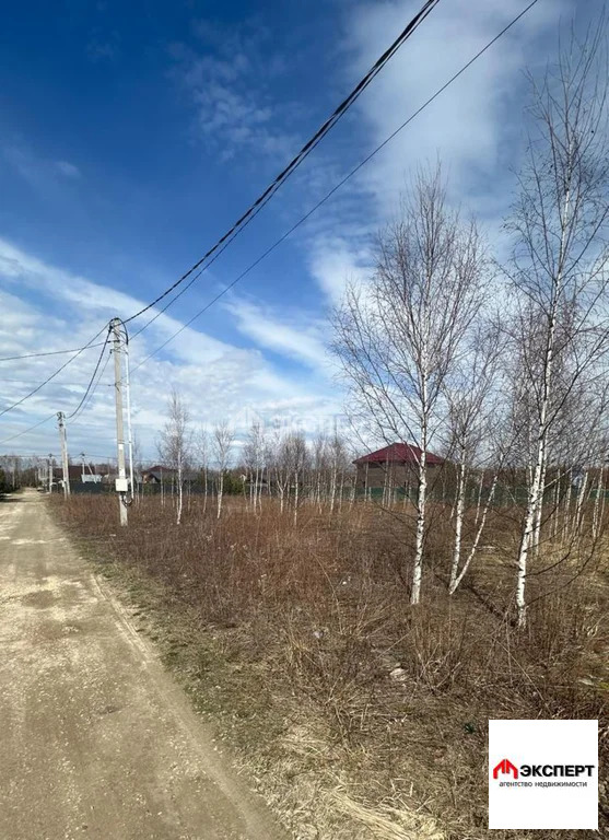 земельный участок - Фото 5