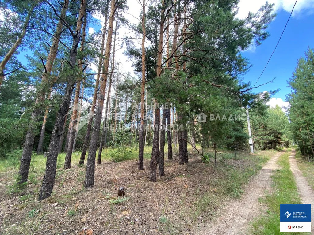 Продажа участка, Рязанский район - Фото 6