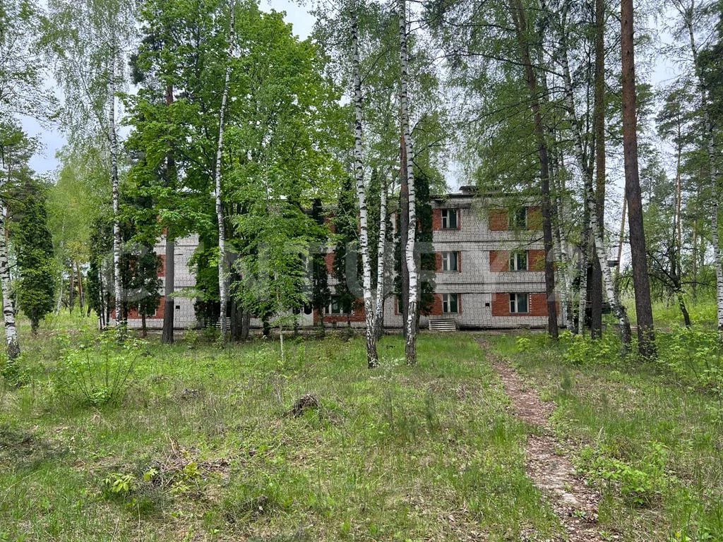 Продажа ПСН, Колодезское, Задонский район, ул. Солнечная - Фото 30