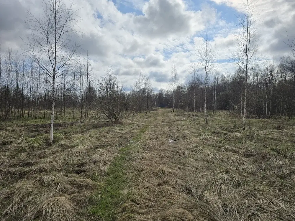 Продаю участок 10 соток в пос. Гарь-Покровское - Фото 6