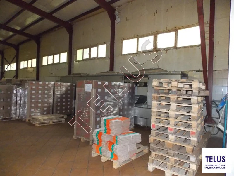 МО, Электросталь г.о., Новые Дома пос., 4000 м2, Пищевое производство ... - Фото 20