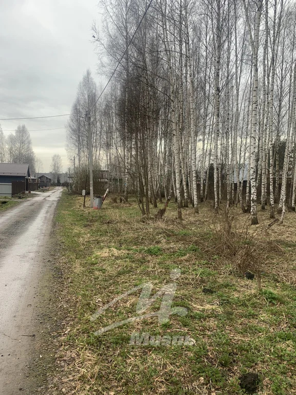 Продажа участка, Новая, Солнечногорский район - Фото 5