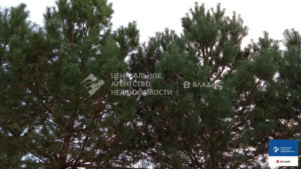 Продажа участка, Тюшево, Рязанский район - Фото 11