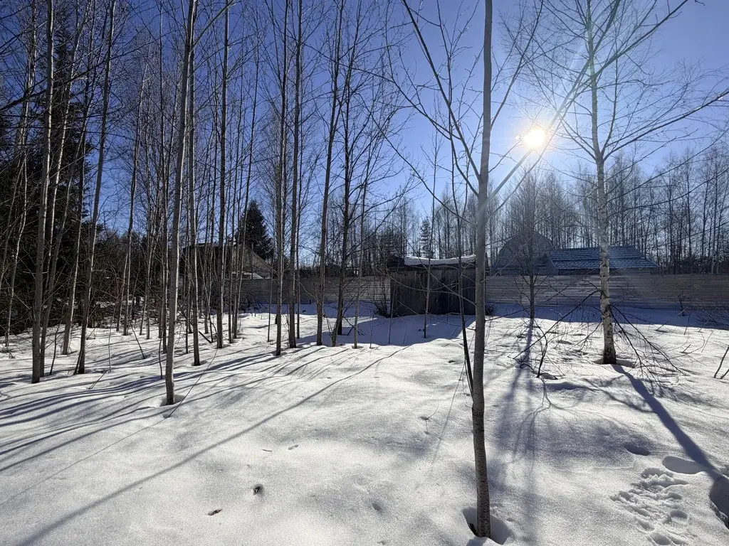 Дача 52 м2 на участке 12 сот. - Фото 11