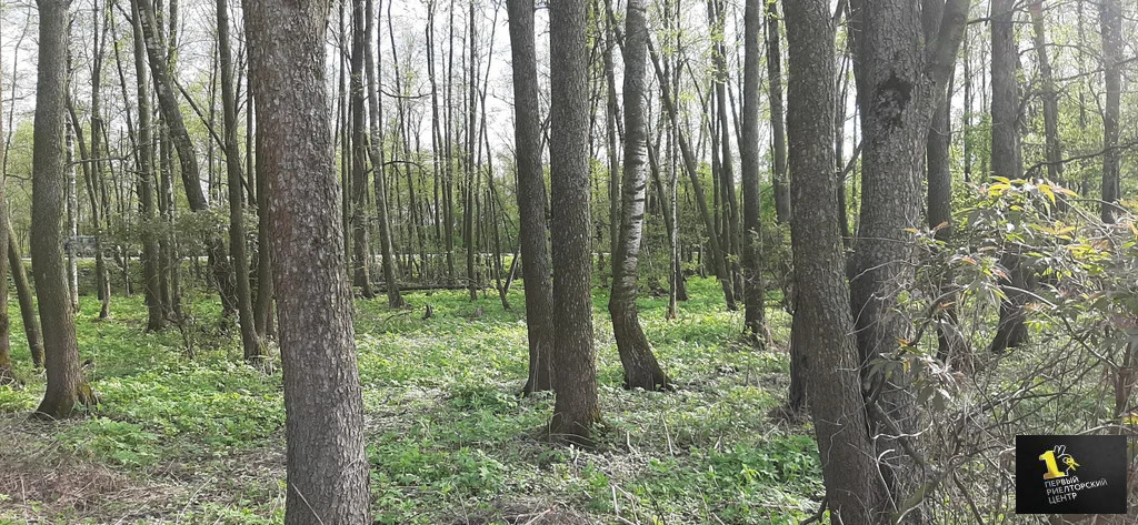 Продажа дома, Воскресенский район, ТСН Автомобилист тер. - Фото 21