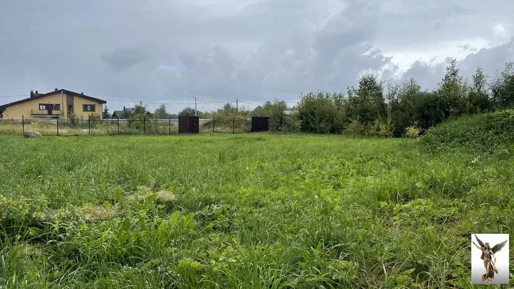 Земельный участок в ДНТ Поляна-2 (массив Белоостров) - Фото 4