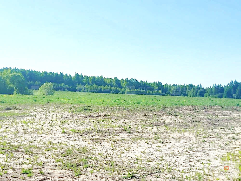 Продажа участка, Большие Кургузи, Зеленодольский район, ул. Нагорная - Фото 12