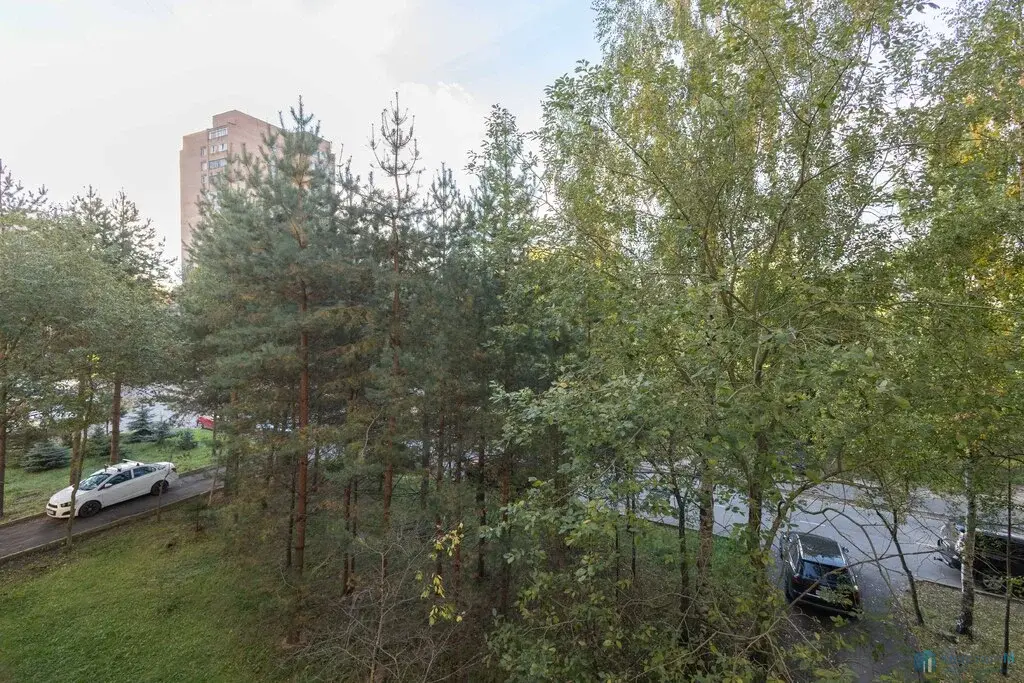 Присматриваете квартиру в районе с развитой инфраструктурой, а на ремо - Фото 11