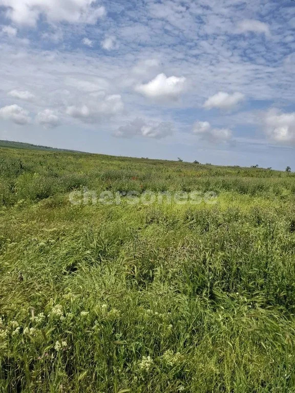 Продажа участка, Равнополье, Симферопольский район, ул. Калинина - Фото 4