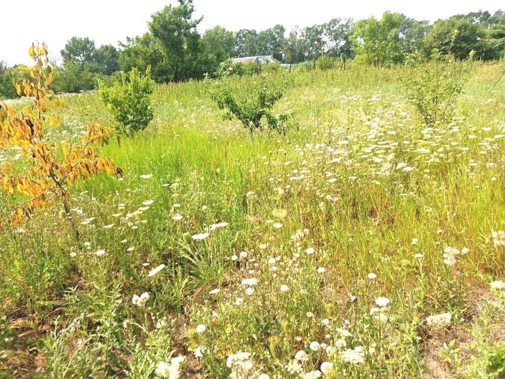 Продажа дома, Ивановская, Красноармейский район, ул. Советская - Фото 8