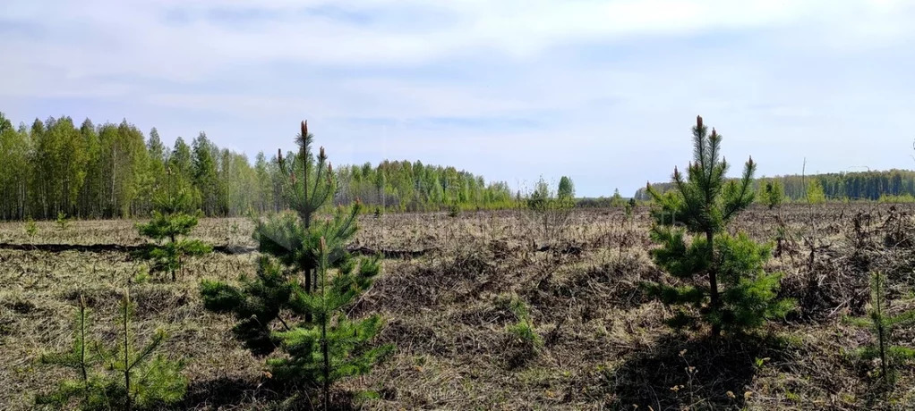 Продажа участка, Тюменский район, Тюменский р-н - Фото 0