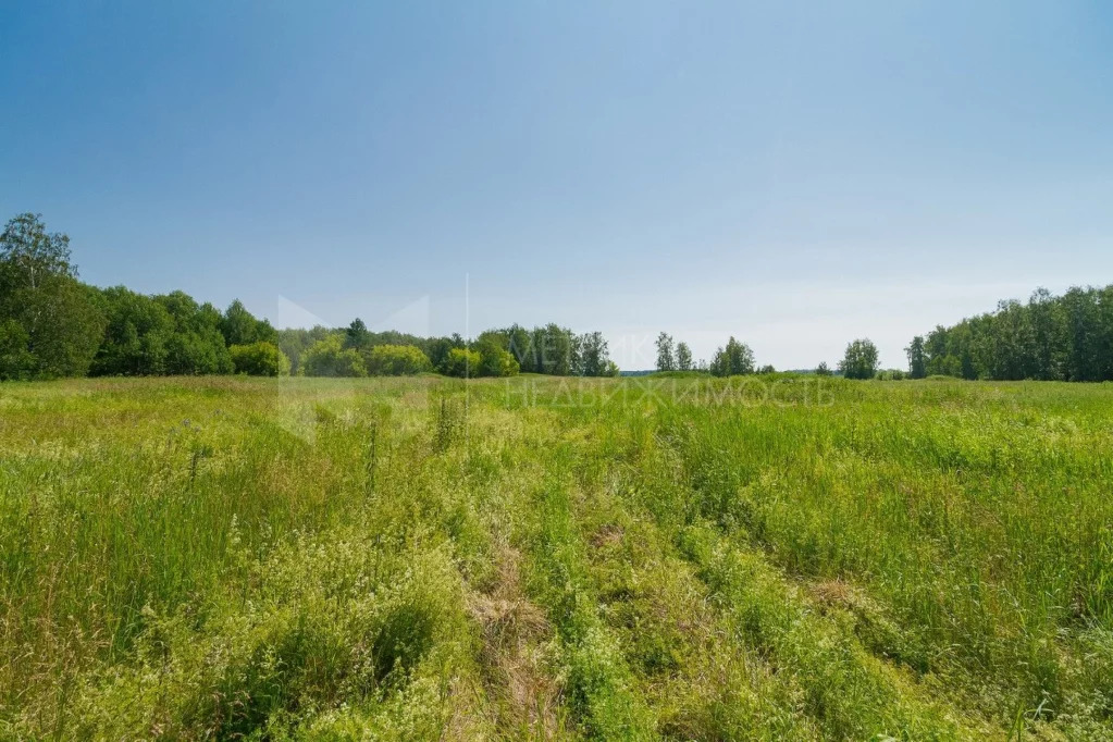 Продажа участка, Антипино, Нижнетавдинский район, Нижнетавдинский р-н - Фото 0