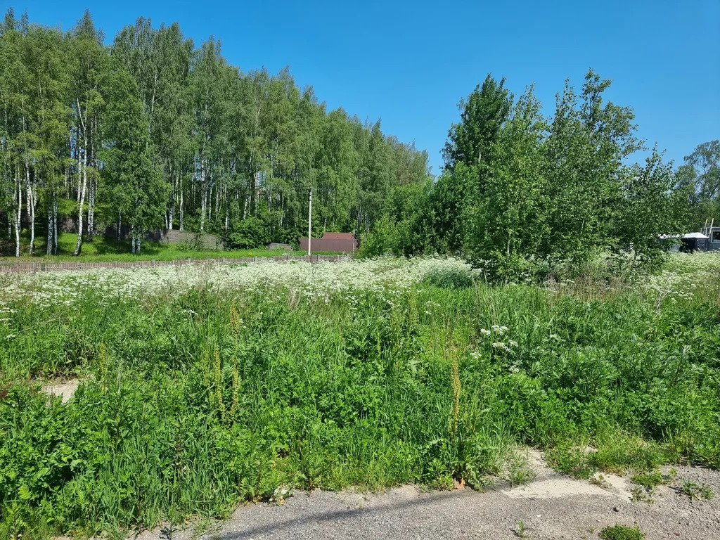 Продажа участка, Хязельки, Всеволожский район - Фото 2