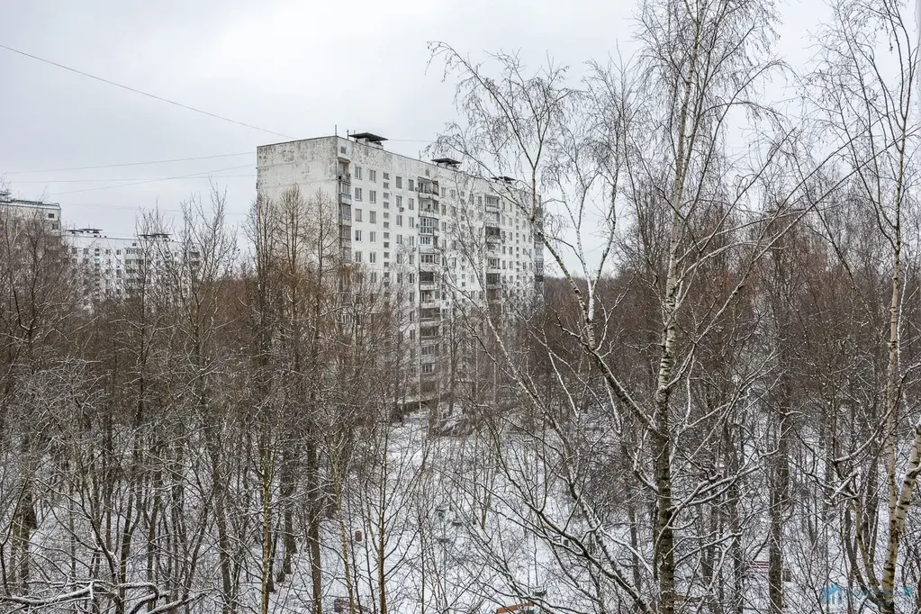 Если вы ищете квартиру, куда можно сразу заехать-без ремонта, шумных б - Фото 12