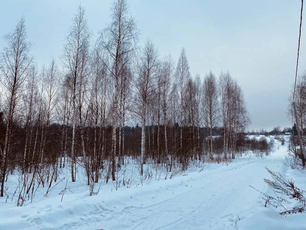 Продажа участка, Дмитровский район - Фото 6