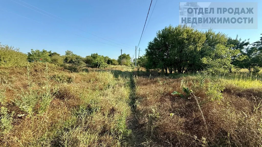 Участок - Фото 5