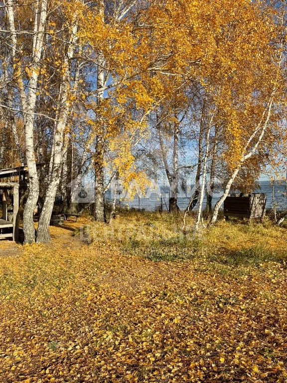 Земельный участок на продажу, Ордынский район, рабочий посёлок . - Фото 0
