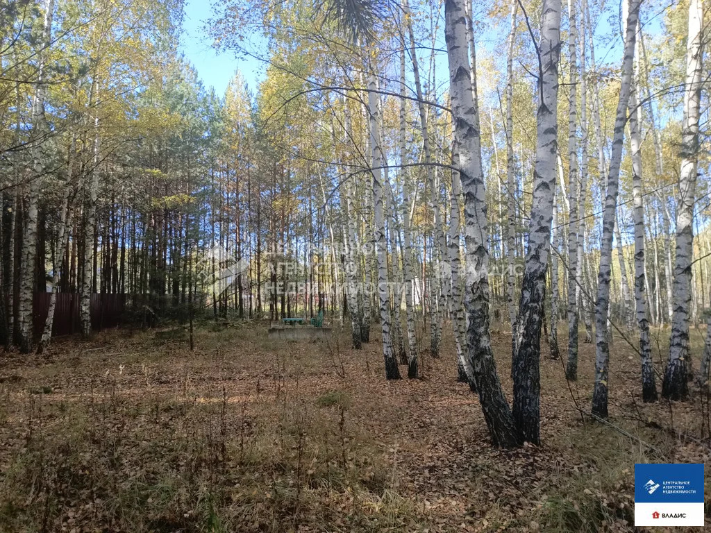 Продажа участка, Спасский район - Фото 10