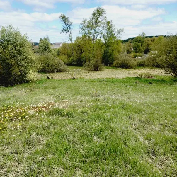 Продам земельный участок , деревня Докша - Фото 1