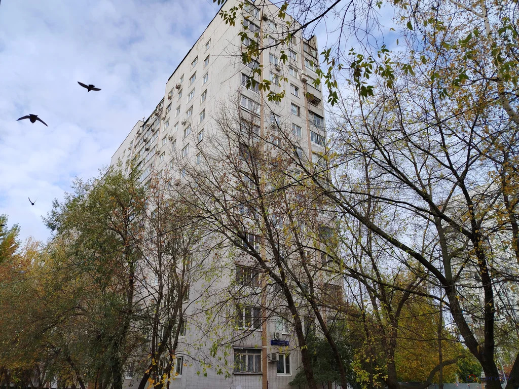 Продажа торгового помещения, ул. Кантемировская - Фото 4