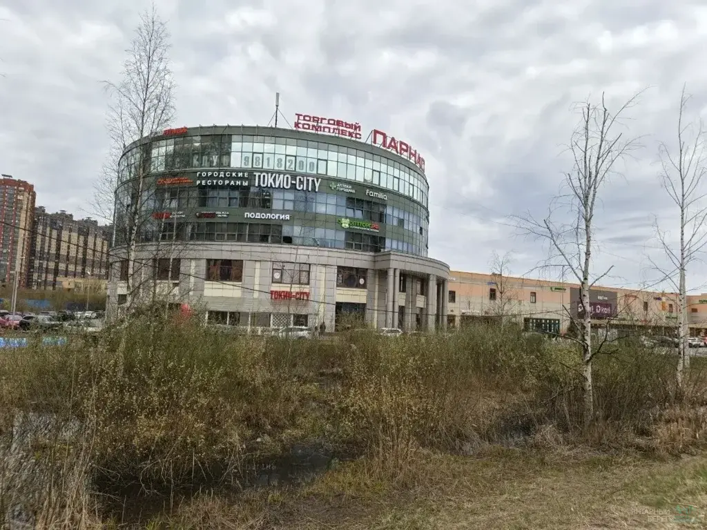 Продается коммерческое помещение 126,6 м2 в ТРК Парнас - Фото 11