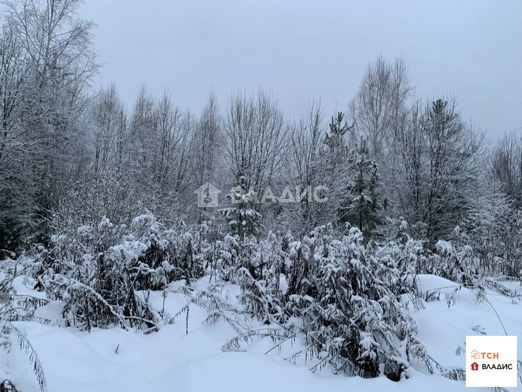 Продажа участка, Щелковский район - Фото 5