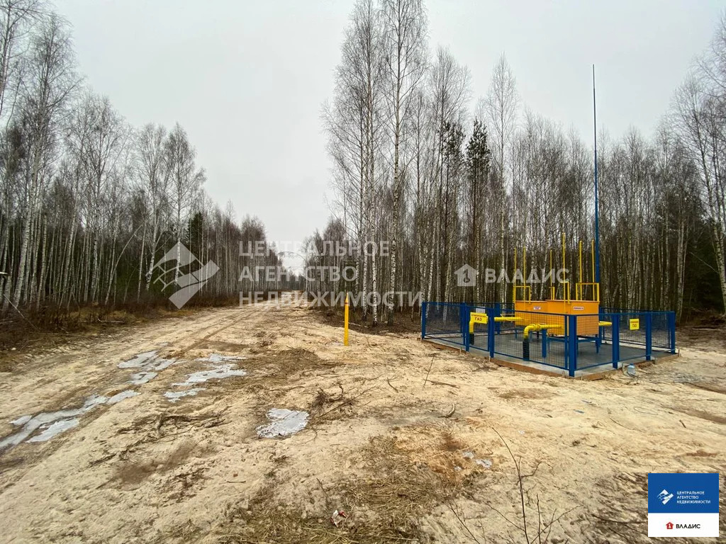 Продажа участка, Ярустово, Спасский район, ул. Лесная - Фото 11