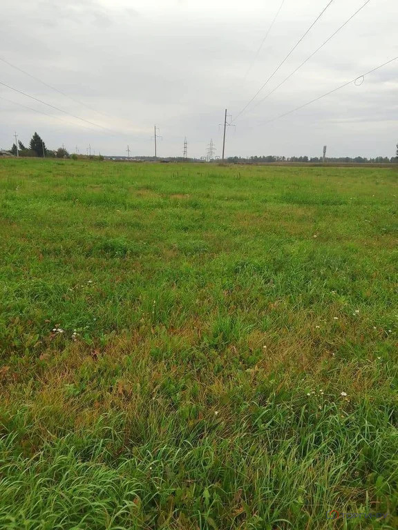 Продажа участка, Ялуторовский район - Фото 1