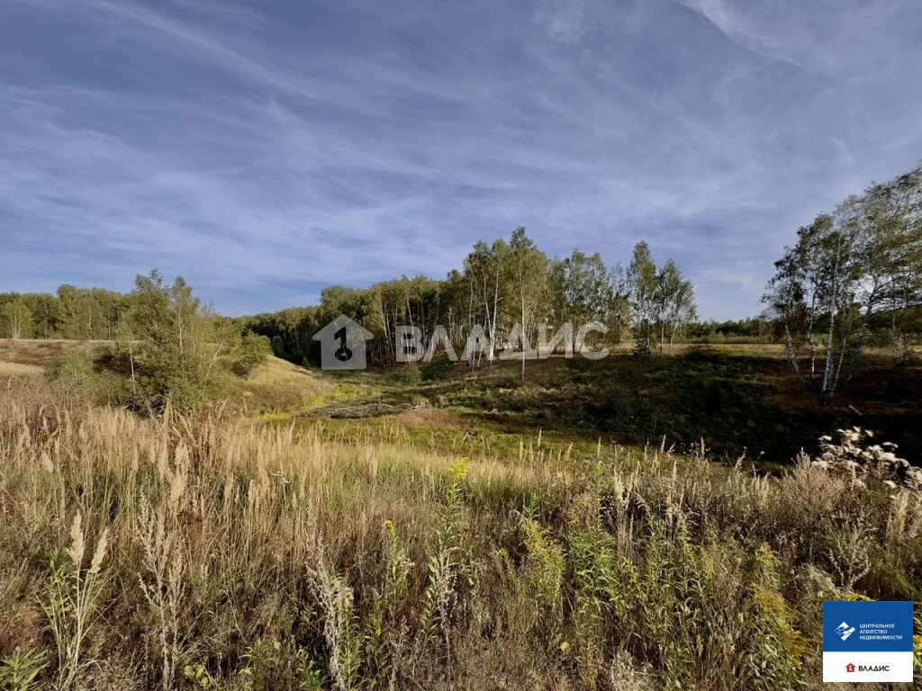 Продажа дома, Кривоносово, Рыбновский район - Фото 15