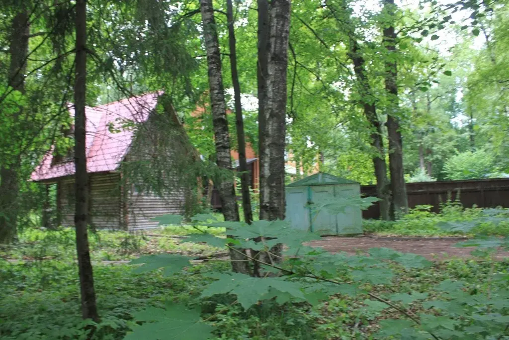 Участок лесной в стародачном посёлке ран Новодарьино на Рублевке - Фото 3