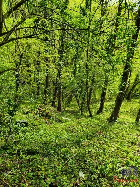 Продаётся зем.уч., 10 сот., г. Сочи - Фото 2