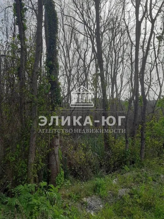 Продажа участка, Лермонтово, Туапсинский район, Звездная ул. - Фото 1