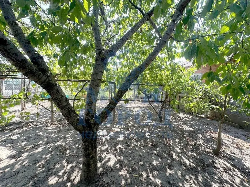 Продам дом  (10173-104) - Фото 2