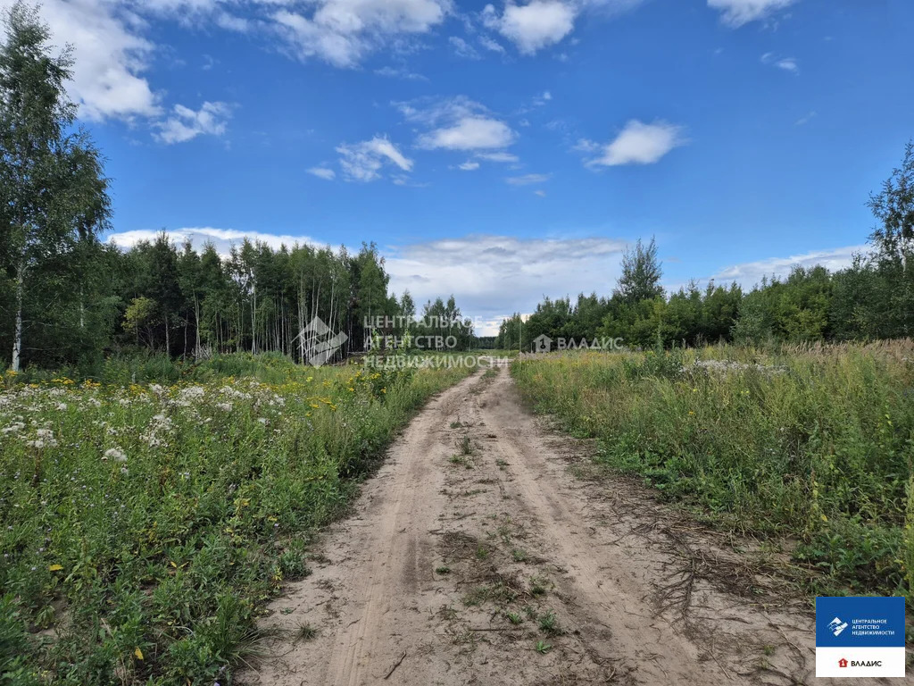 Продажа участка, Рязанский район - Фото 3