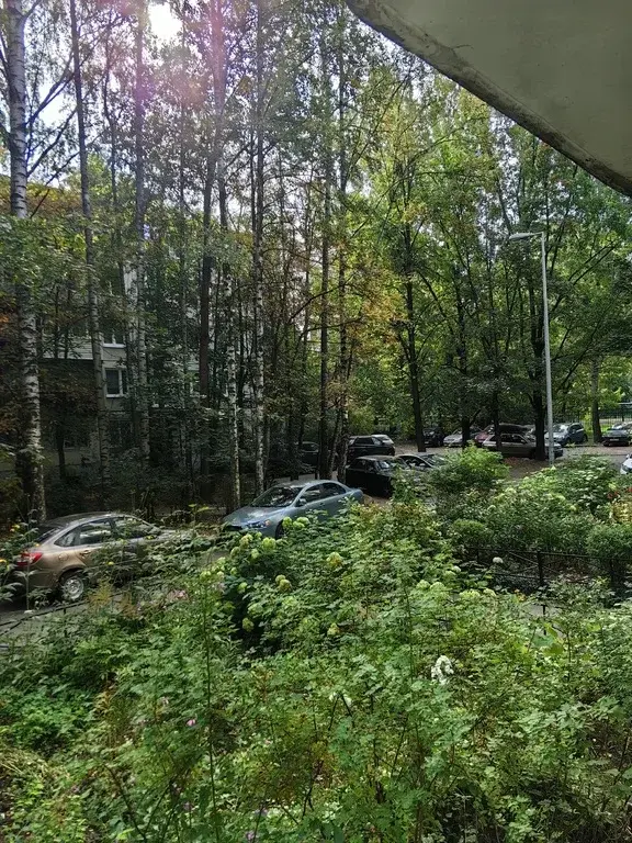 аренда 1к. квартиры/ м. академическая/ у метро / все есть / 22.990руб. - Фото 39