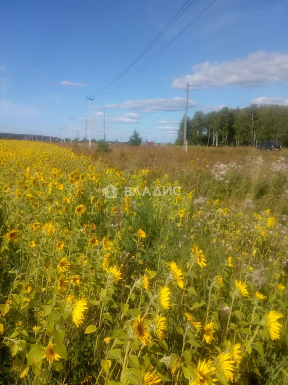 Судогодский район, деревня Травинино,  земля на продажу - Фото 5