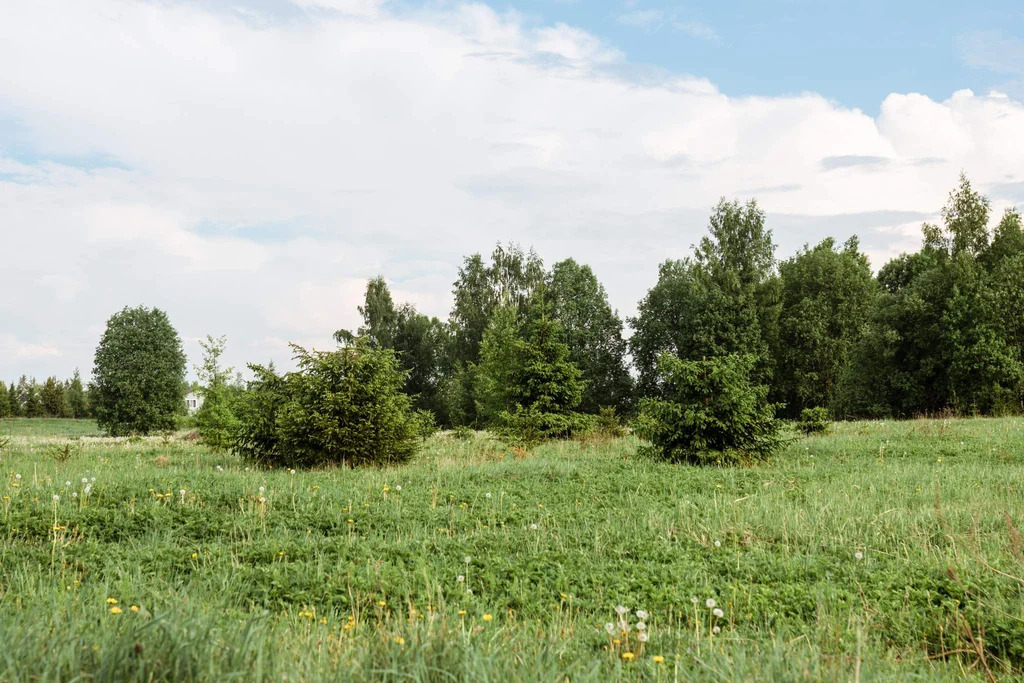 Продается земельный участок 16 сот. - Фото 8