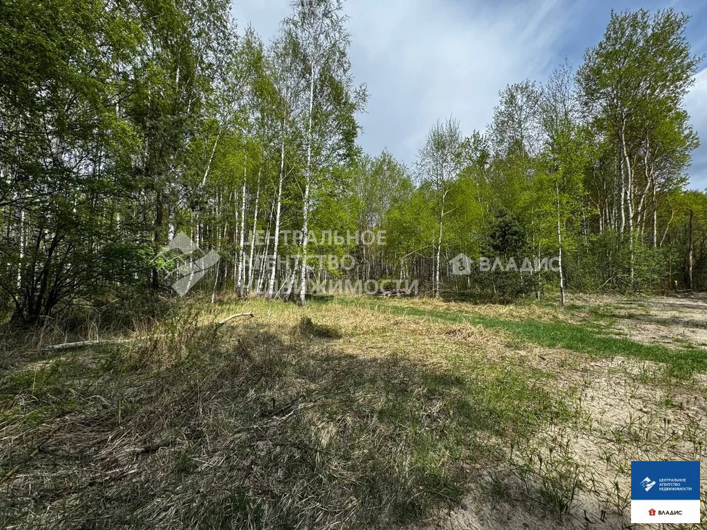 Продажа участка, Ушмор, Клепиковский район - Фото 2
