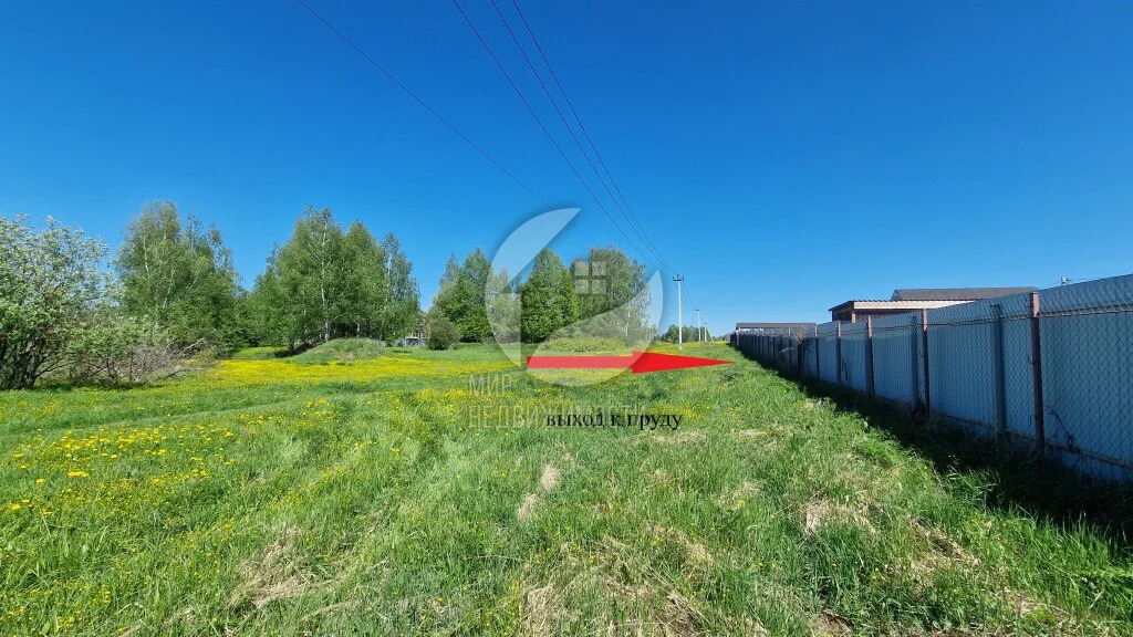 Продажа участка, Дмитровский район, коттеджный посёлок Чистые пруды - Фото 21