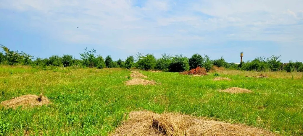 Продажа участка, Северская, Северский район, ул. Российская - Фото 3