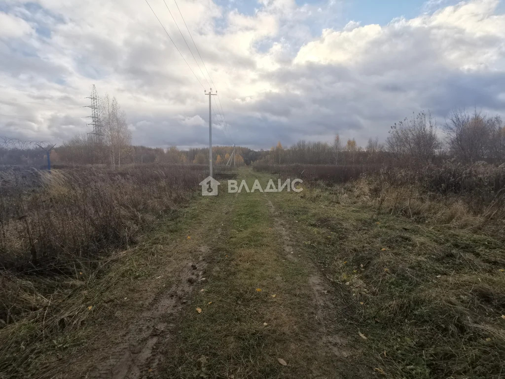 Суздальский район, село Новоалександрово,  земля на продажу - Фото 24