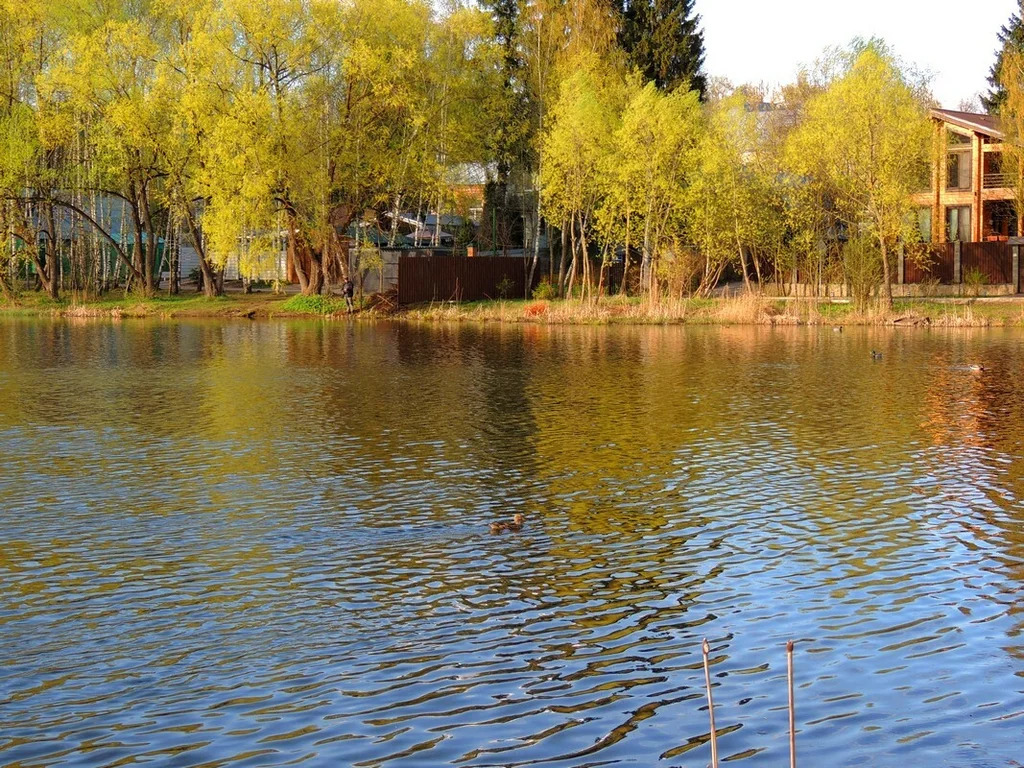 Продажа дома, Николо-Урюпино, Красногорский район, ул. Гагарина - Фото 28