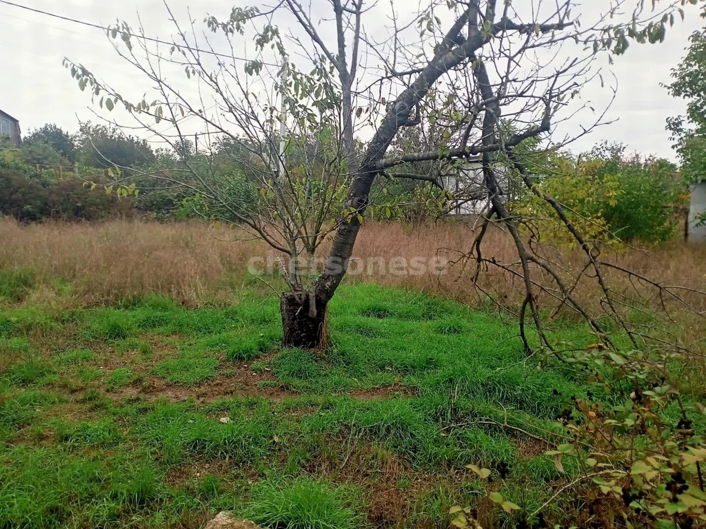 Продажа участка, Севастополь, территория СТ Строитель-2 - Фото 7