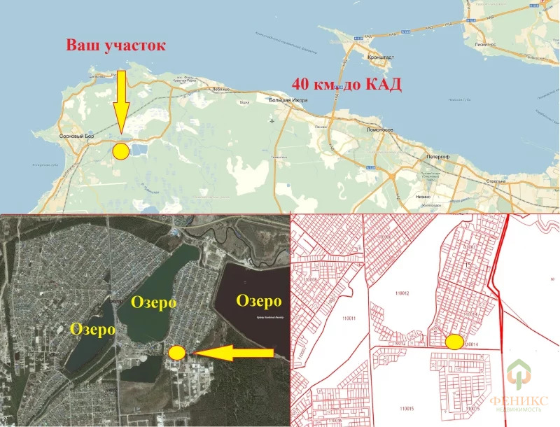 Карта коваши ленинградская область