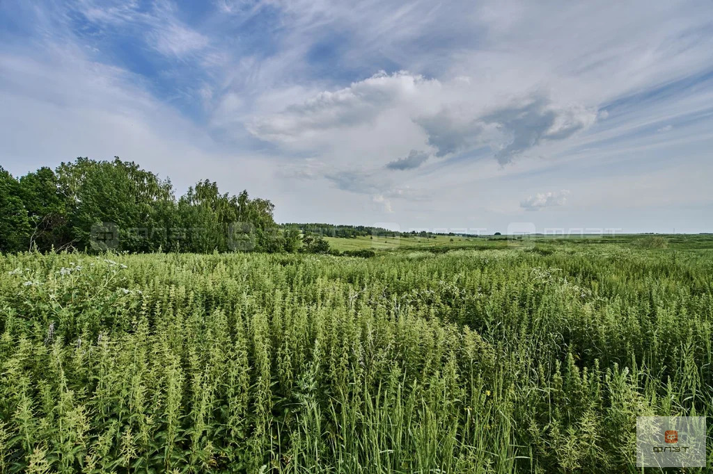 Продажа участка, Среднее Девятово, Лаишевский район, дом 102 - Фото 13