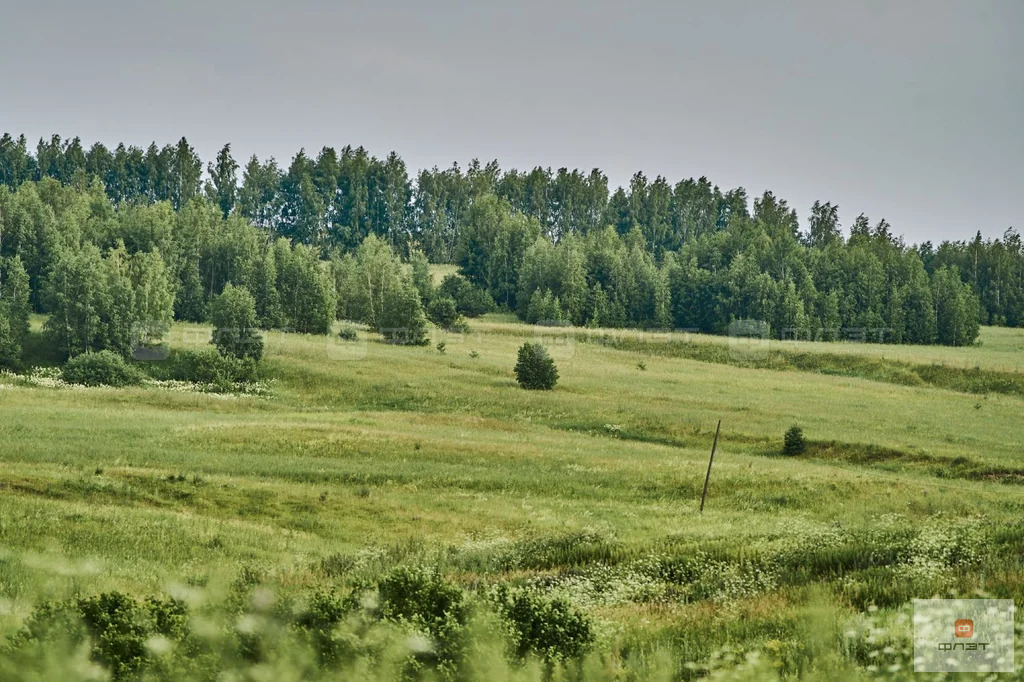 Продажа участка, Среднее Девятово, Лаишевский район, дом 102 - Фото 10